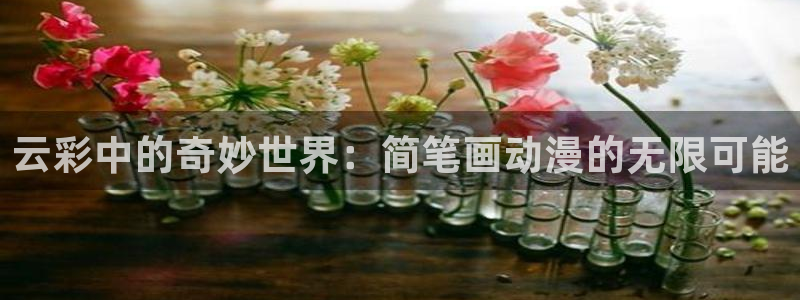 51动漫污污视频