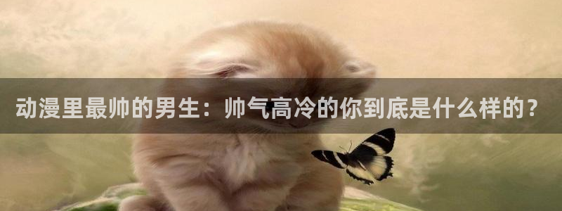 51动漫在线观看网站