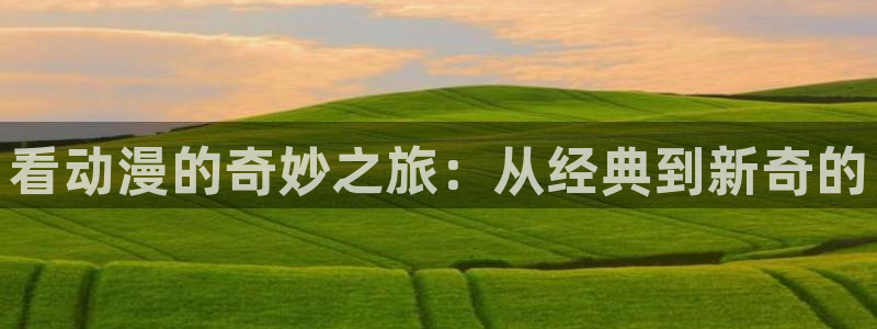 51动漫官网下载